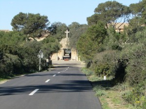 IMG_4419 (Medium)
